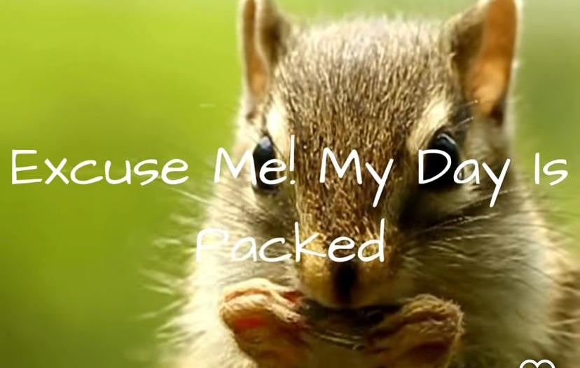 Excuse Me ! My Day is Packed