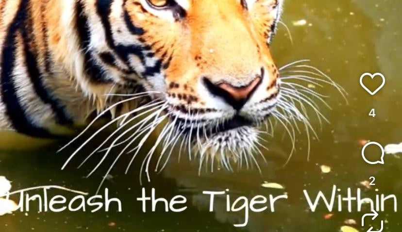 Unleash the Tiger Within !
