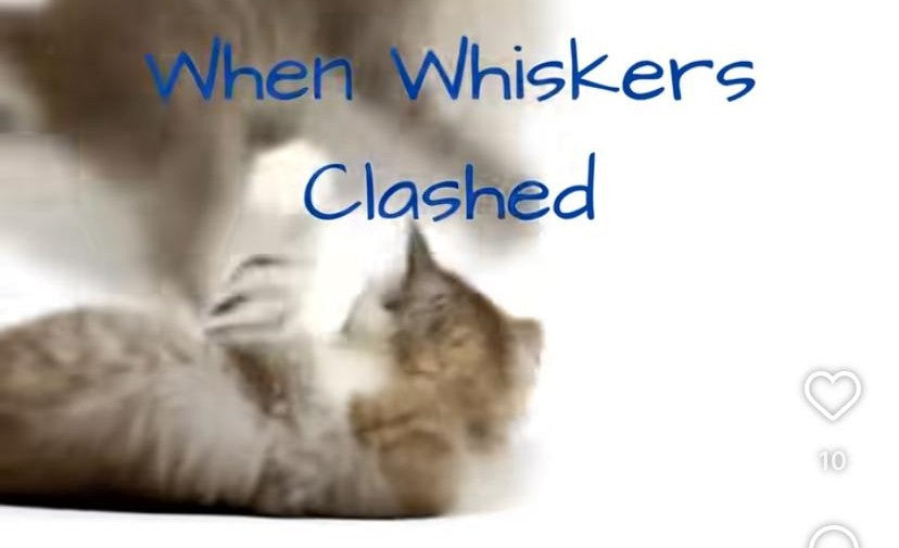 When Whiskers Clashed