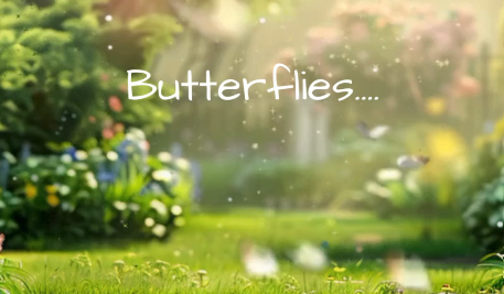 Butterflies