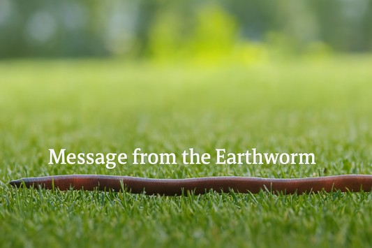 Message from Earthworm