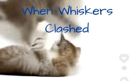 When Whiskers Clashed