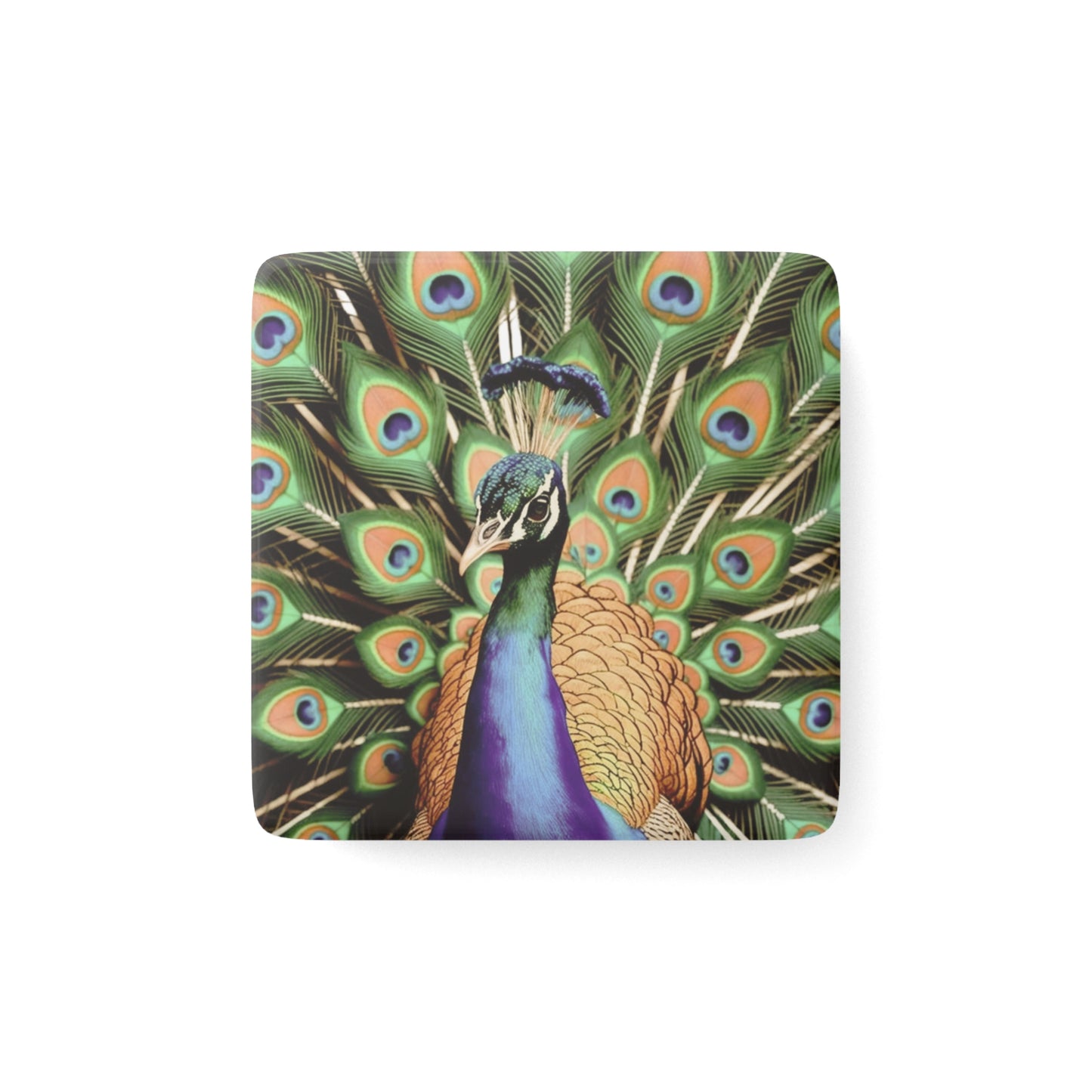 Peacock Porcelain Magnet | Symbol of Awakening | Symbol of Grace & Beauty | Vibrant Fridge Decor | Spiritual Gift Idea