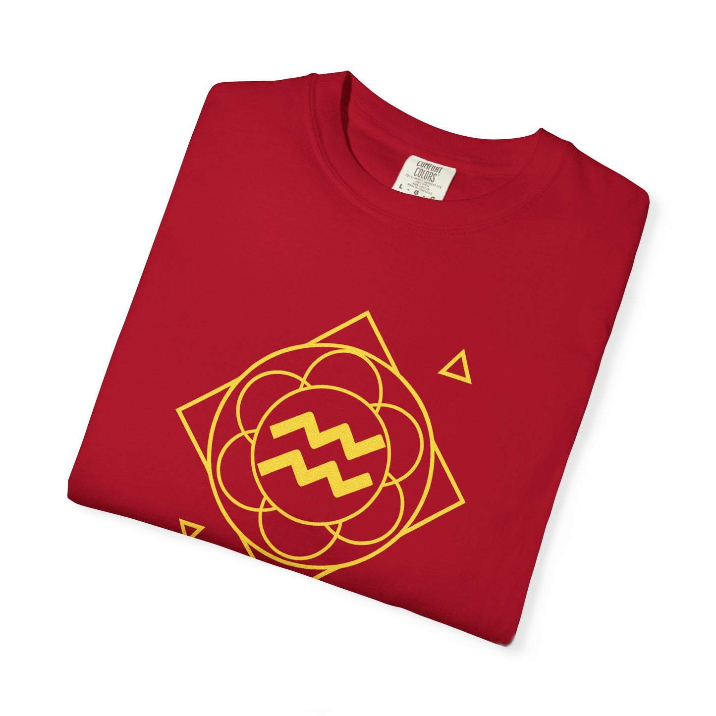 Aquarius Sacred Geometry T-Shirt | The Light Coder Tee in 13 different Colors | Astrology Gift